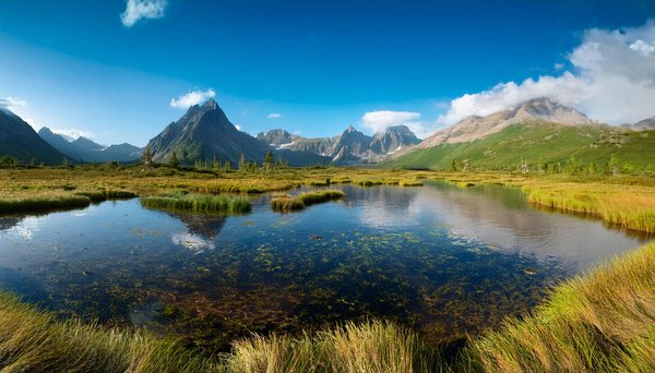 Quelles croisières permettent de découvrir les techniques de fabrication de la soie en Asie?