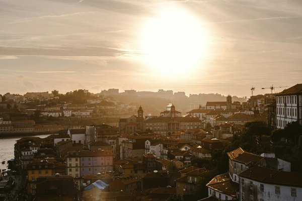 Quels sont les meilleurs spots pour observer les baleines en Patagonie, Chili?